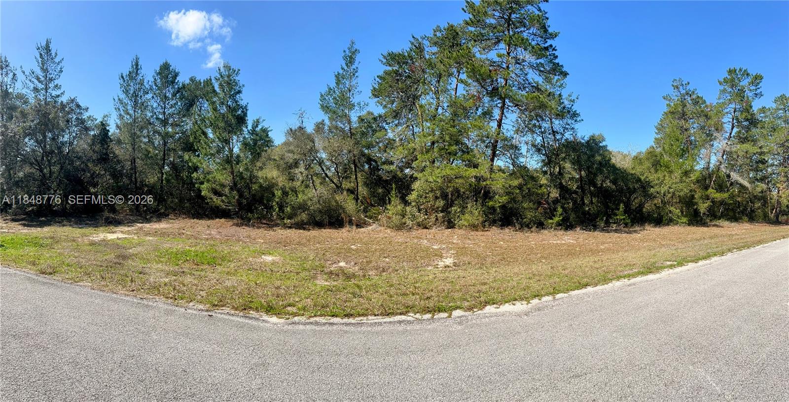 A vacant corner lot features sparse grass and a dense line of mature trees — 32nd Cir / Marion Oaks Blvd, Ocala FL 34473, OCALA, FL