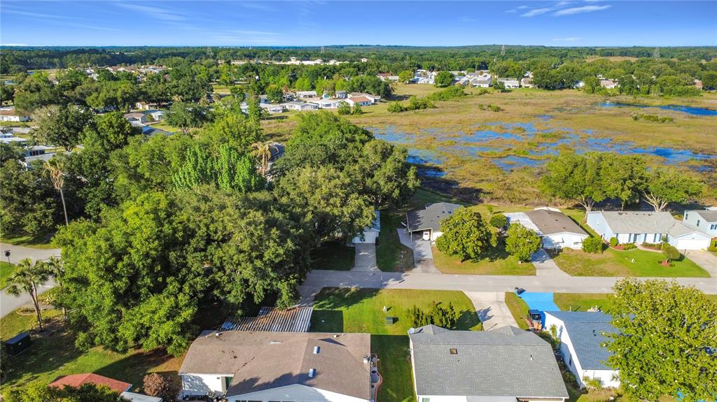 An aerial view shows several suburban houses surrounded by trees and a large marshy area — 25014 PINE HILL, LEESBURG, FL