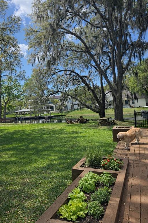 A golden retriever stands on a wooden deck overlooking a grassy yard and a lake — 11102 SHADY OAK STREET, ORLANDO, FL