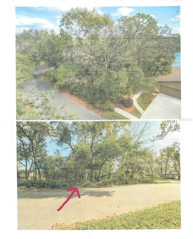 Two views of a wooded, undeveloped residential lot located along a paved street — 421 CARDINAL OAKS COURT, LAKE MARY, FL