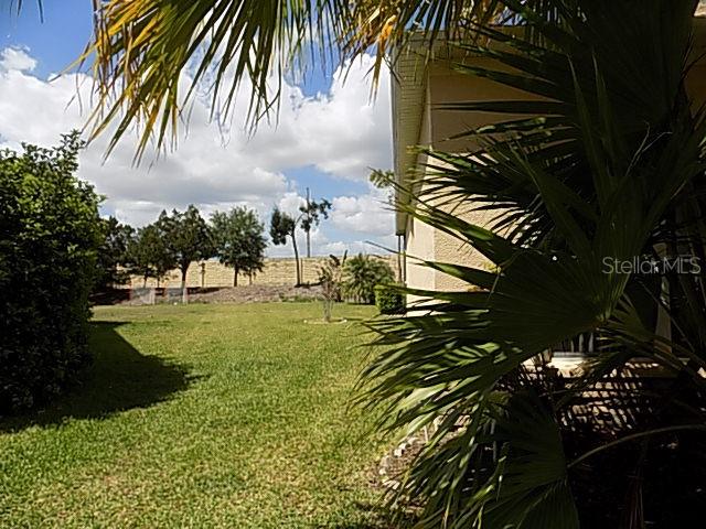 A view of a grassy backyard with a palm tree and a house exterior — 12507 ROCKROSE GLEN, LAKEWOOD RANCH, FL