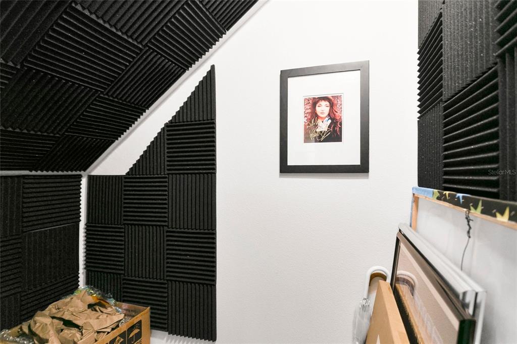 A small room features acoustic foam panels on the walls and ceiling and a framed portrait — 10534 GREEN IVY LANE, ORLANDO, FL