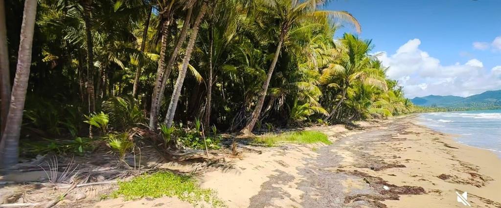 BEACH FRONT PUNTA GUILARTE, ARROYO, PR — photo 5 of 5