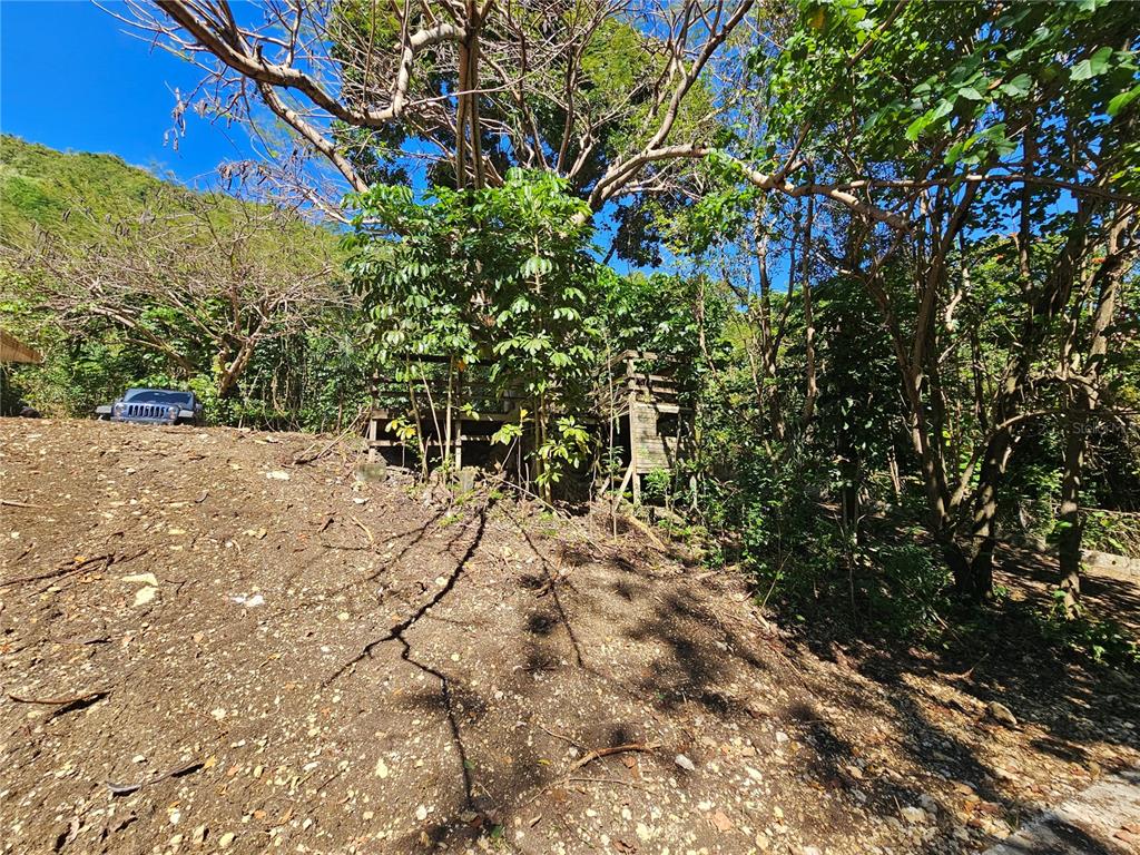 PR-159, MOROVIS, PR — photo 2 of 19