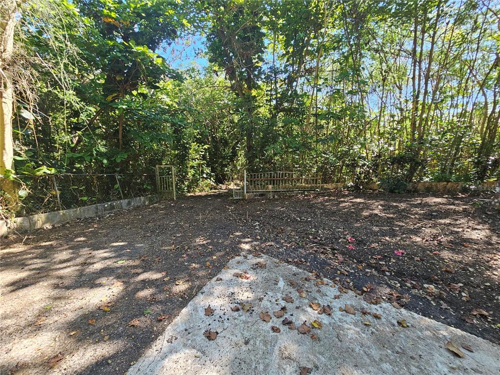 PR-159, MOROVIS, PR — photo 4 of 19