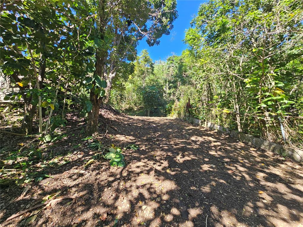 PR-159, MOROVIS, PR — photo 5 of 19