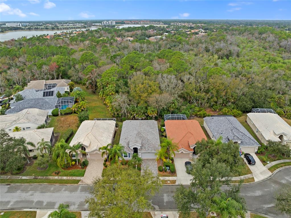 An aerial view shows a row of suburban houses bordering a dense wooded area — 8322 WHISPERING WOODS COURT, BRADENTON, FL