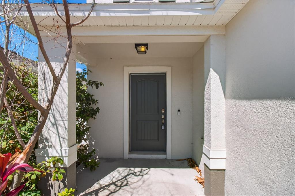 A covered front porch features a gray door with a white frame and light fixture — 10405 LAGUNA PLAINS DRIVE, RIVERVIEW, FL