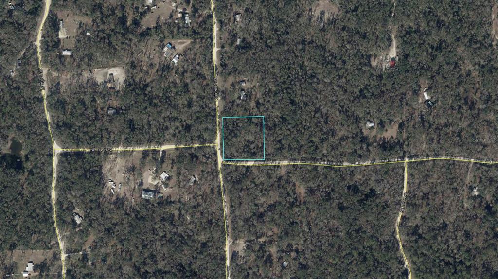 An aerial view shows a rectangular plot of land outlined in blue within a wooded area — NE 312TH AVENUE, OLD TOWN, FL