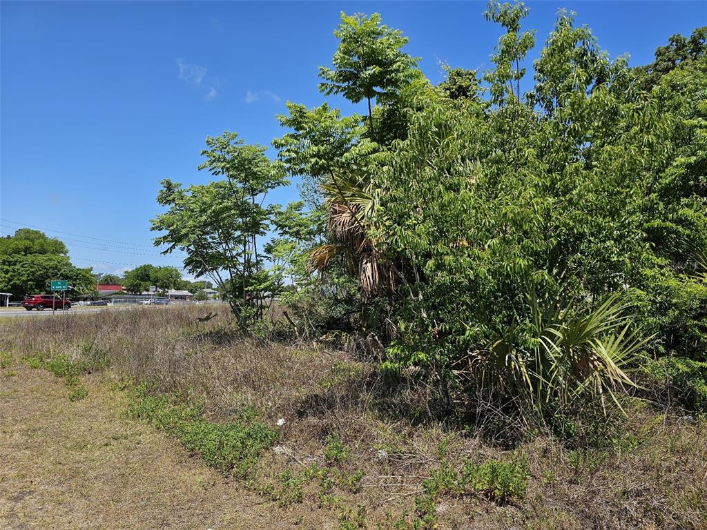 S HWY 301, BELLEVIEW, FL — photo 2 of 6