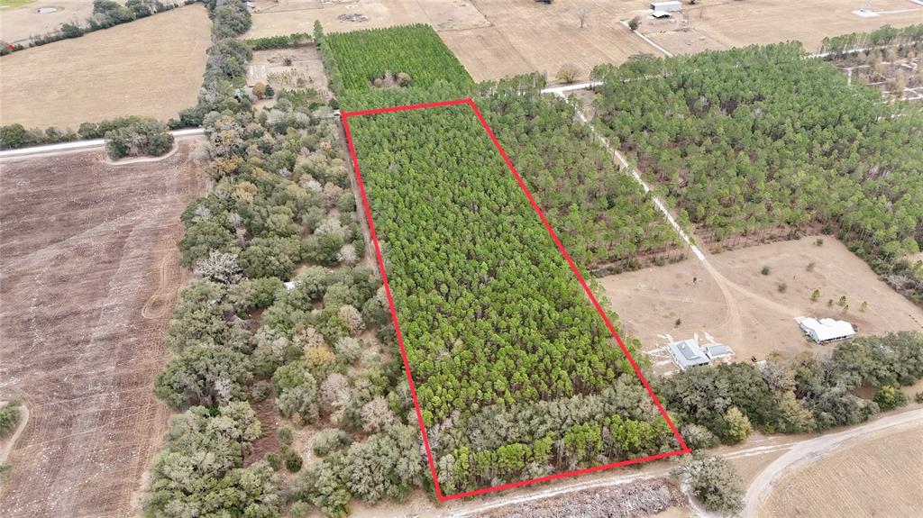 An aerial view shows a rectangular plot of land densely covered with trees — TBD NE 10TH AVENUE, TRENTON, FL