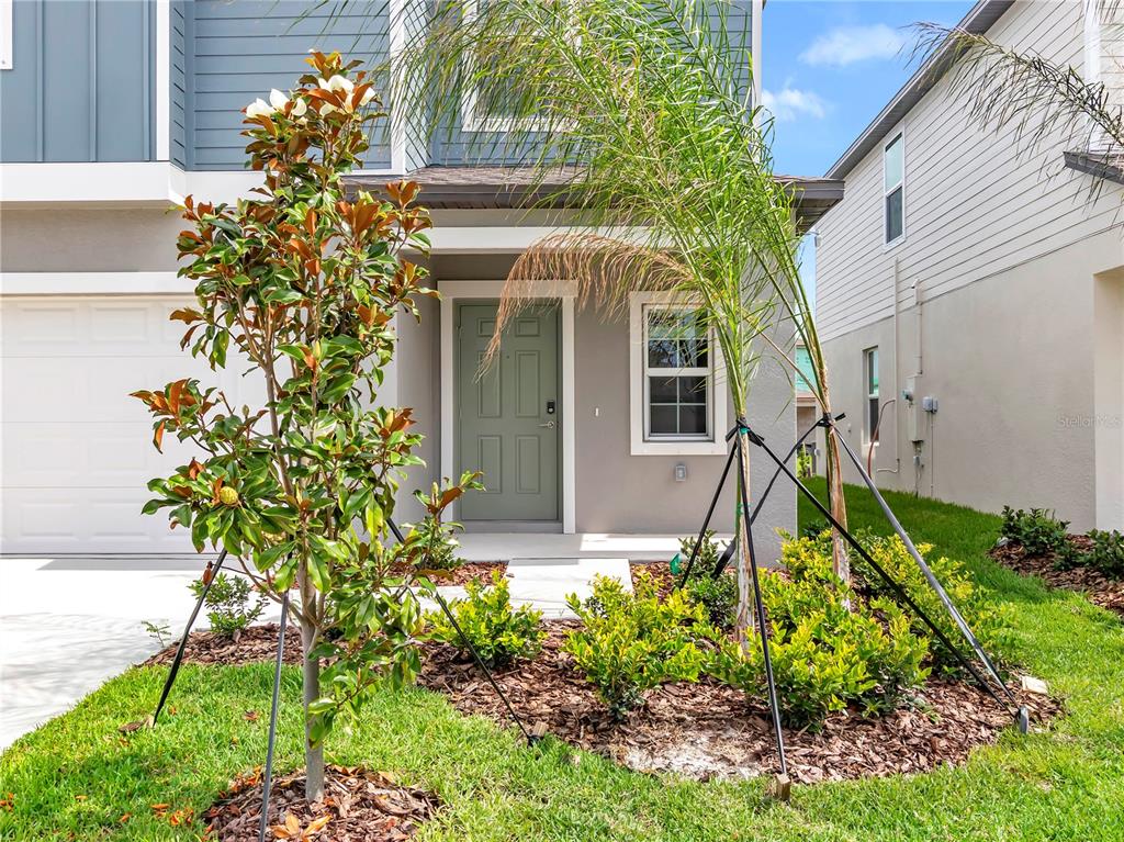 The exterior of a two-story house features a gray front door and landscaped front yard — 6115 BLUE PALOMA COURT, PALMETTO, FL