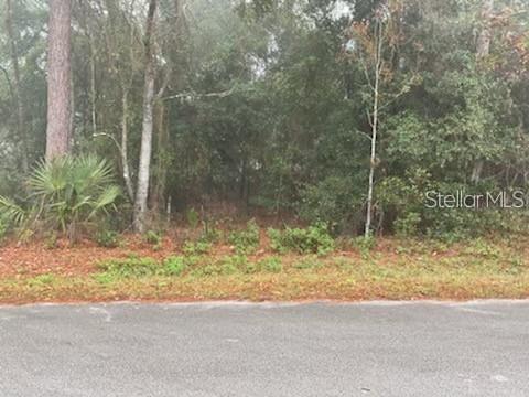 0 SE 99TH AVENUE, BELLEVIEW, FL — photo 2 of 2