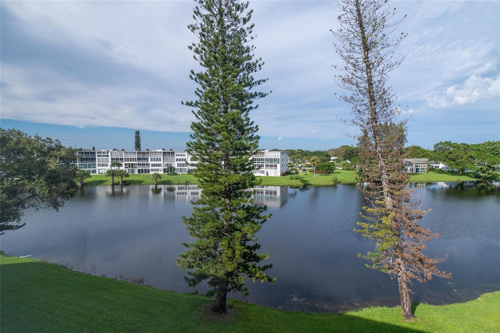 A view of a lake with two tall pine trees and apartment buildings in the background — 4035 Cambridge B # 4035, Deerfield Beach FL 33442, DEERFIELD BEACH, FL