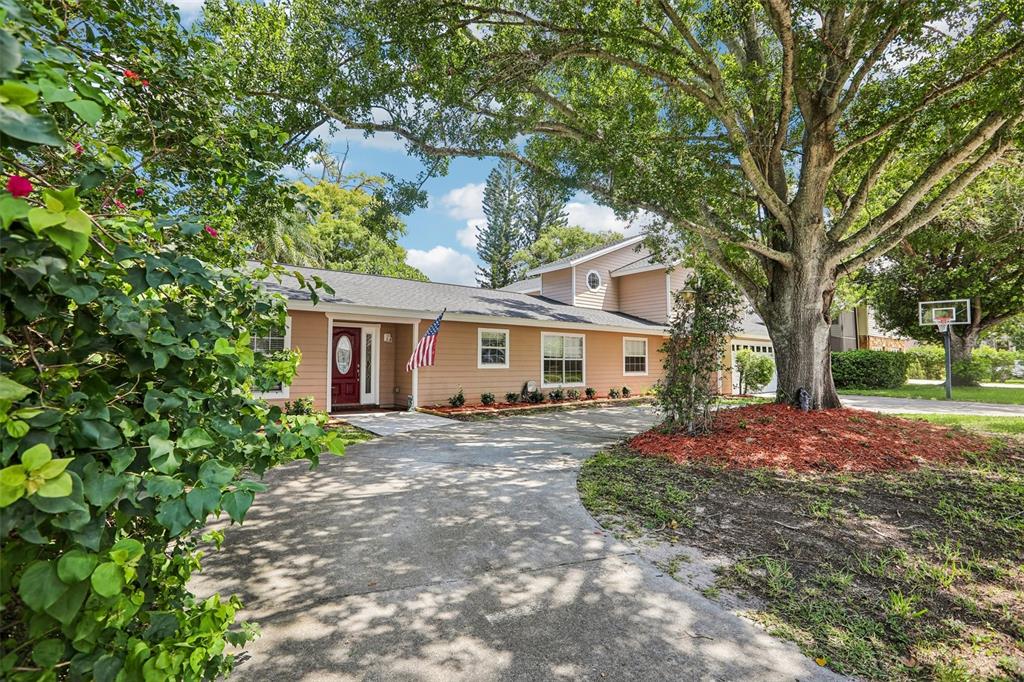 3131 N CANAL DRIVE, PALM HARBOR, FL — photo 3 of 30