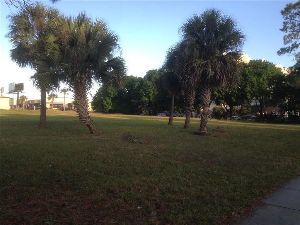 A grassy lot features several palm trees under a clear blue sky — 6440 CANADA AVENUE, ORLANDO, FL
