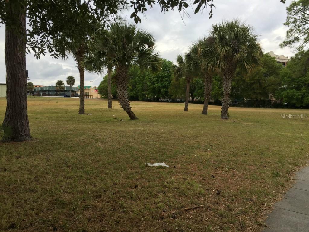 A grassy field features several palm trees and a large oak tree under a cloudy sky — 6440 CANADA AVENUE, ORLANDO, FL