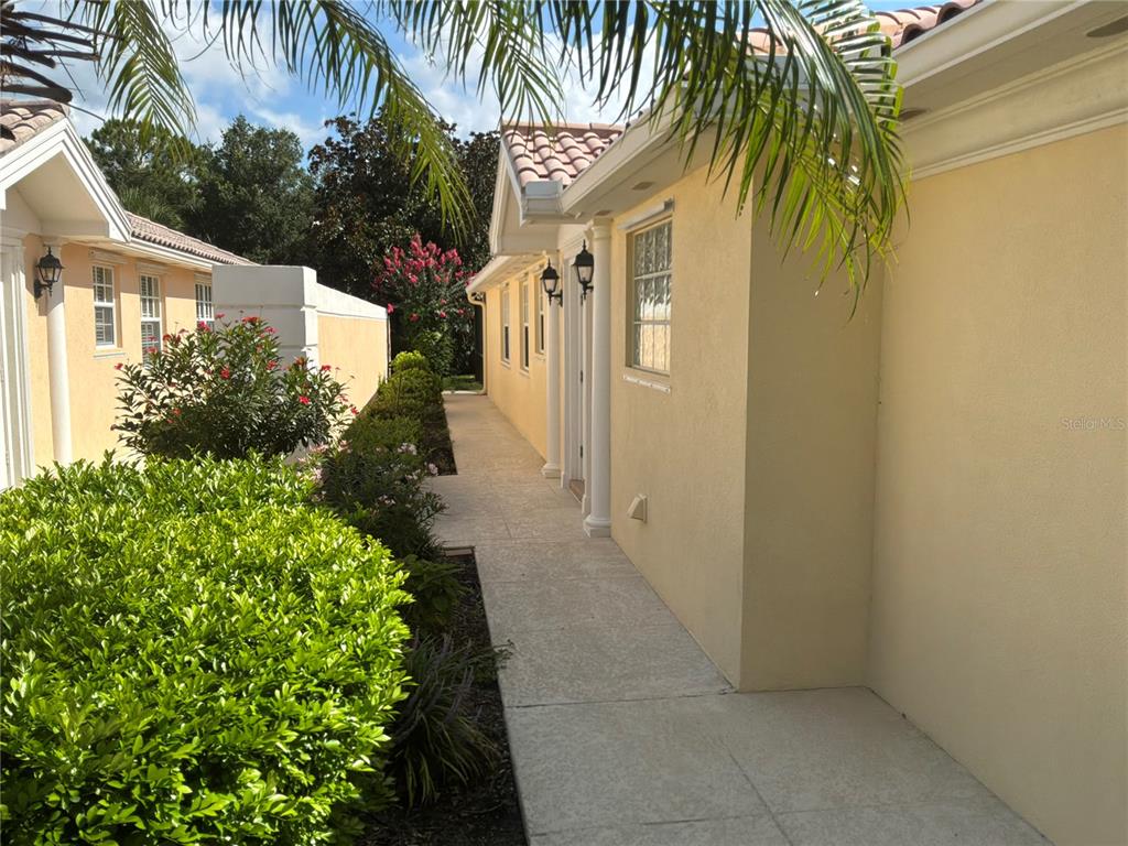 A paved walkway runs between two yellow stucco buildings with tiled roofs and landscaping — 8004 CAMMINARE DRIVE, SARASOTA, FL