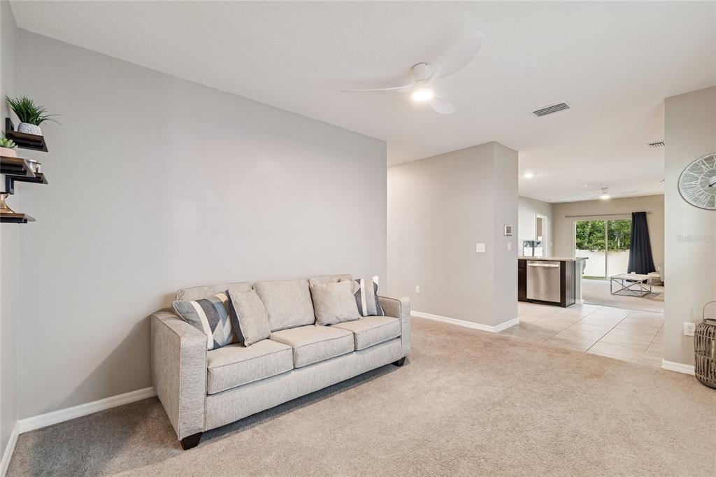 A living room features a gray sofa, carpeted flooring, and a ceiling fan — 5221 HILLSIDE MEADOW PLACE, TAMPA, FL