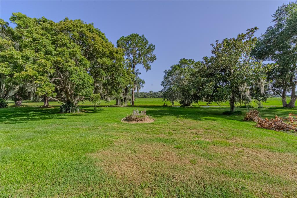 A grassy lawn with large, moss-draped trees under a clear blue sky — 7208 HONEYSUCKLE DRIVE, SEBRING, FL