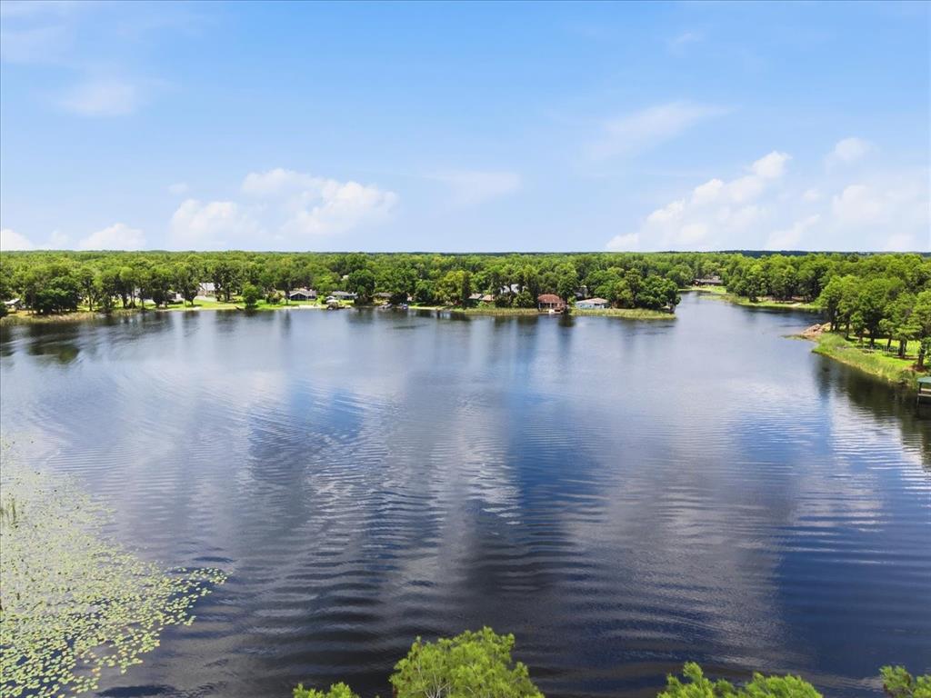 An aerial view shows a calm lake surrounded by a dense forest and residential homes — 15612 HOWELL PARK LANE, TAMPA, FL