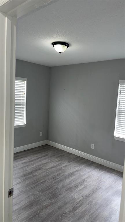 An empty bedroom features gray walls, light wood-look flooring, two windows, and a ceiling light — 17 S SOLANDRA DRIVE, ORLANDO, FL