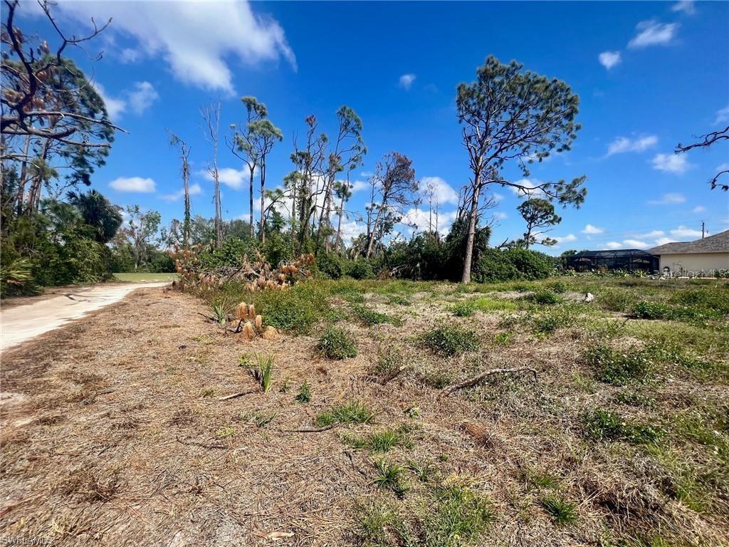 A vacant, grassy lot features scattered trees and shrubs under a clear blue sky — 5 PINE VALLEY COURT, ROTONDA WEST, FL