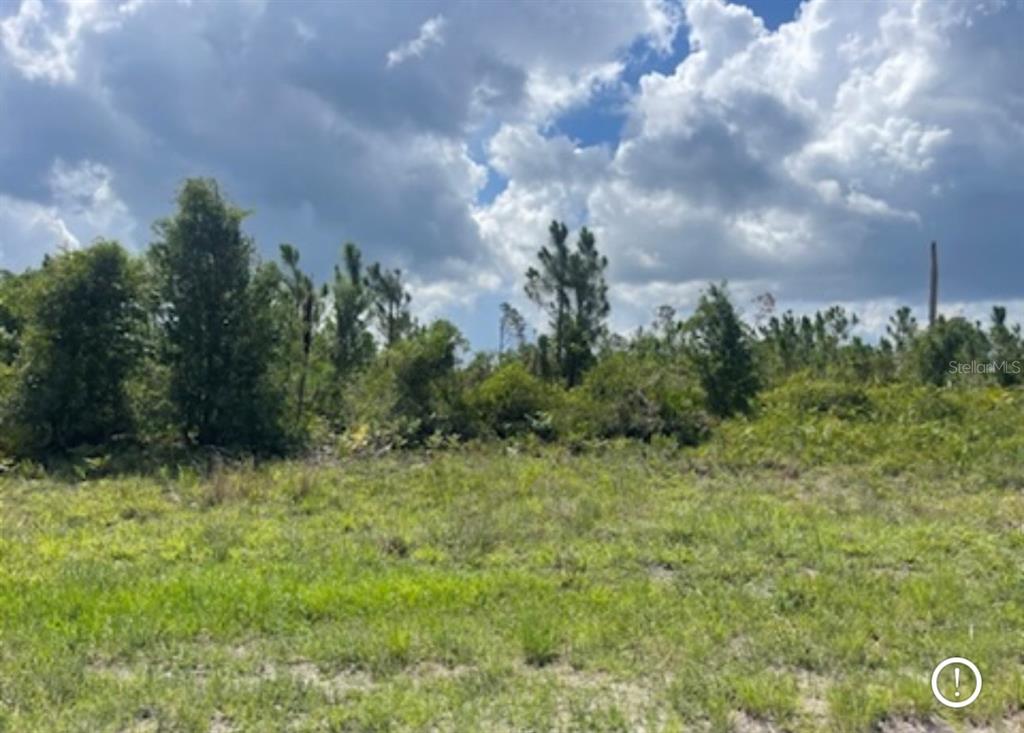 A view of a grassy, undeveloped lot with scattered trees and shrubs under a cloudy sky — Lot 1 JOEWOOD CIRCLE, NORTH PORT, FL