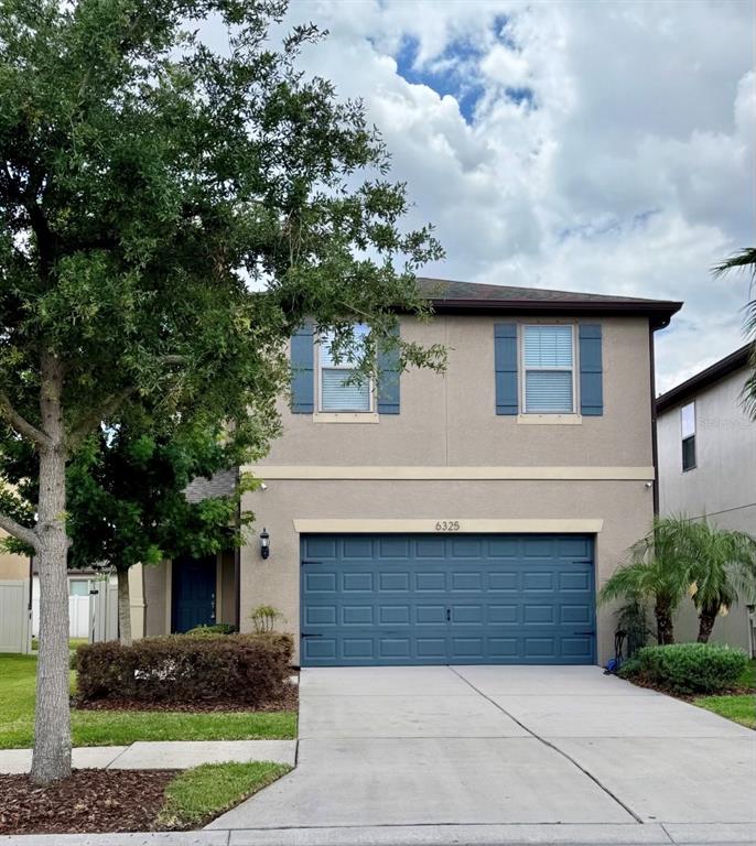 6325 YELLOW BUCKEYE DRIVE