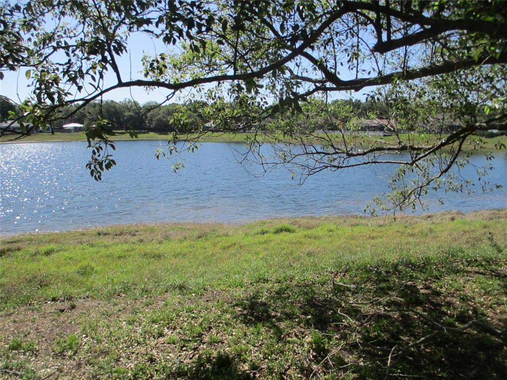 A grassy bank overlooks a lake framed by overhanging tree branches under a clear sky — 8904 PLANTERS LANE, NEW PORT RICHEY, FL