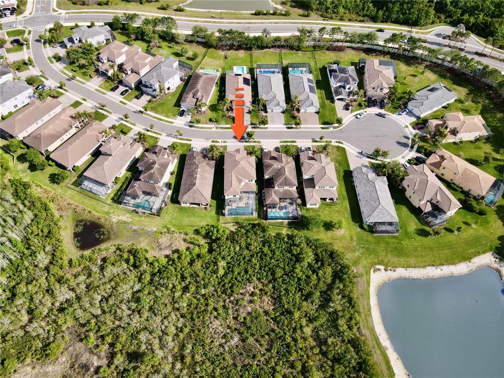 An aerial view shows a suburban neighborhood with houses, swimming pools, and surrounding green space — 30351 TRISTANIA COURT, WESLEY CHAPEL, FL