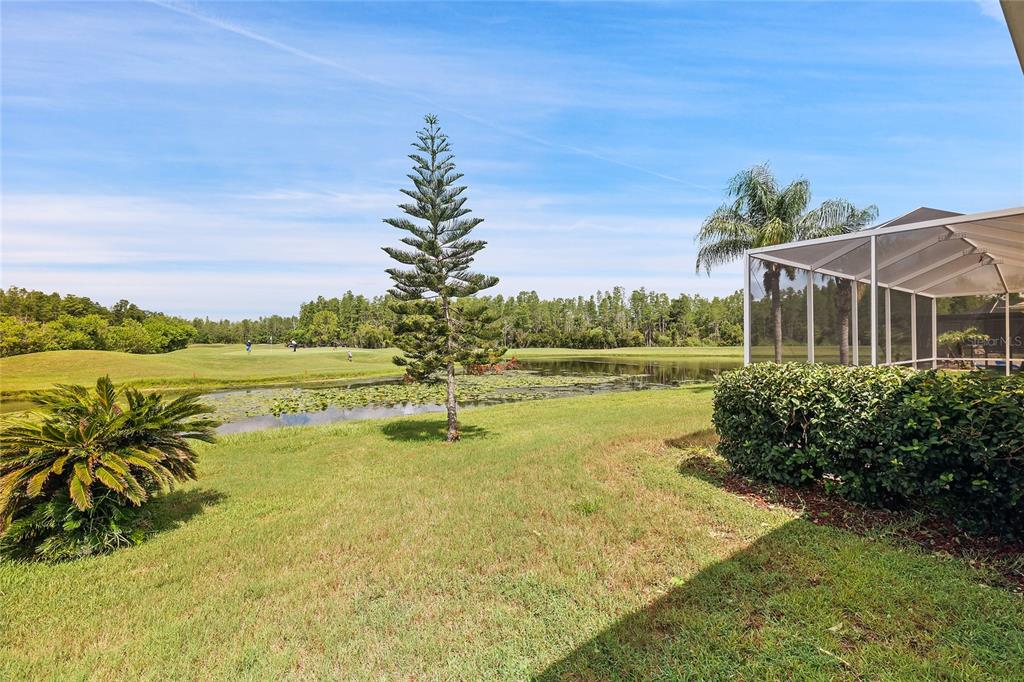 A view of a grassy backyard with a pond, a tall pine tree, and a lanai — 7154 MELOGOLD CIRCLE, LAND O LAKES, FL