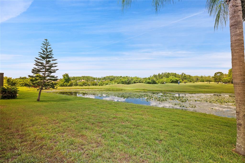 A grassy lawn leads to a pond with lily pads overlooking a golf course — 7154 MELOGOLD CIRCLE, LAND O LAKES, FL