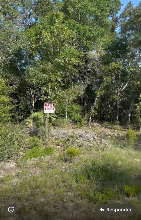 A wooded, undeveloped plot of land features a For Sale by Owner sign on a tree — NE 97TH COURT, BRONSON, FL