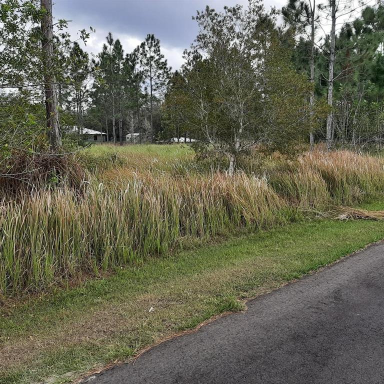 A grassy, overgrown lot borders a paved road with trees and a house in the distance — 26 LANTANA DRIVE S, INDIAN LAKE ESTATES, FL