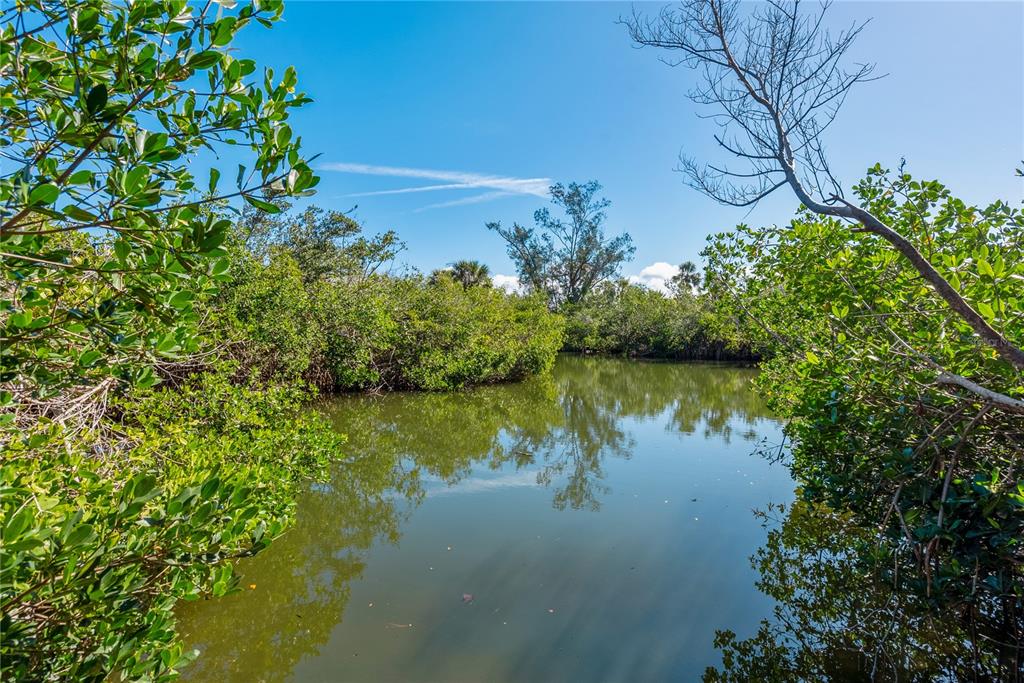 A calm, narrow waterway is surrounded by dense green mangroves under a clear blue sky — 7219 PINE NEEDLE ROAD, SARASOTA, FL