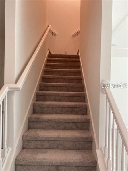 A carpeted staircase with white railings leads upward toward a landing — 4306 SAILPLANE COURT, WESLEY CHAPEL, FL