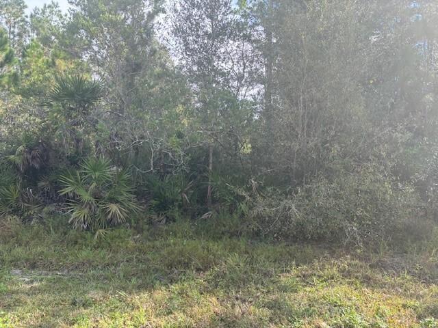 A view of a wooded, undeveloped lot with dense trees and palmetto bushes — 0 Old Grade Road, FL 33868, FL