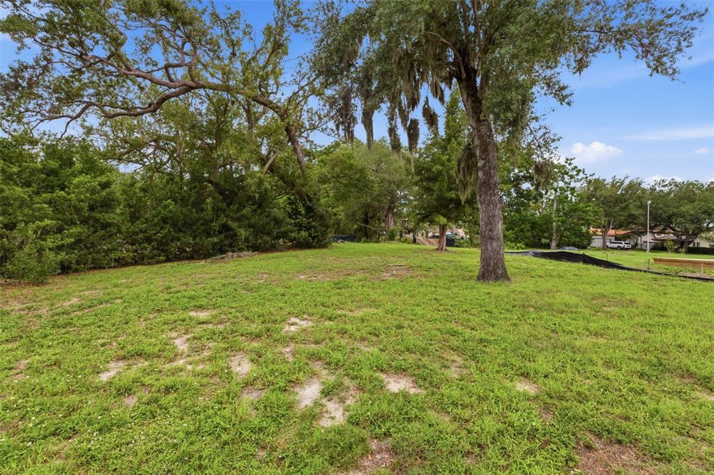 A grassy, undeveloped lot features several large, mature trees under a bright blue sky — 40TH AVENUE N, ST PETERSBURG, FL