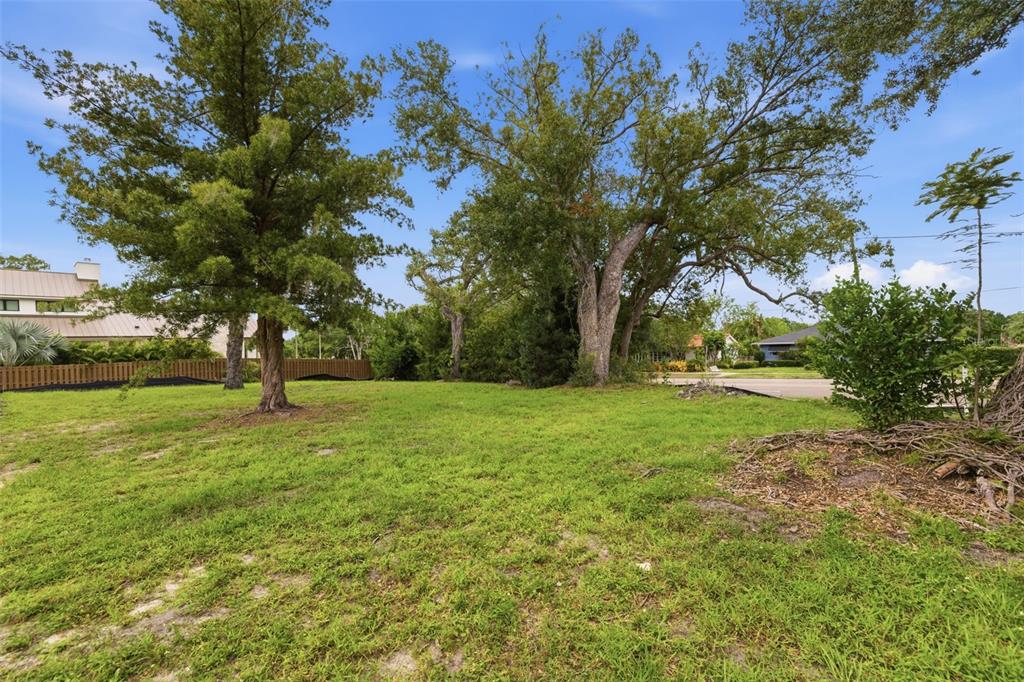 A grassy, vacant lot features several large, mature trees under a bright blue sky — 40TH AVENUE N, ST PETERSBURG, FL