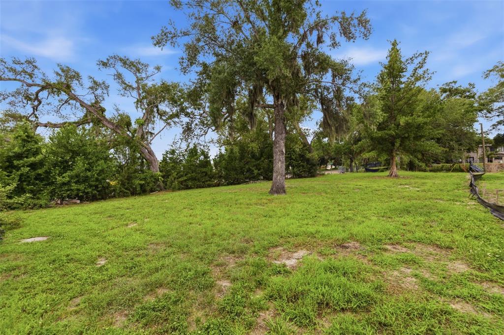 A grassy, vacant lot features several large, mature trees under a bright blue sky — 40TH AVENUE N, ST PETERSBURG, FL