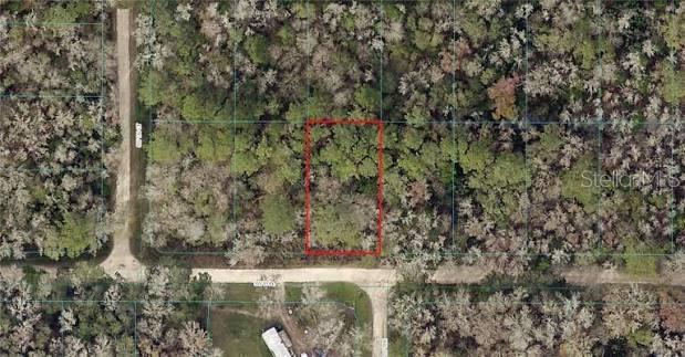 An aerial view shows a rectangular plot of land outlined in red within a wooded area — 13769 SW 13TH PL, OCALA, FL