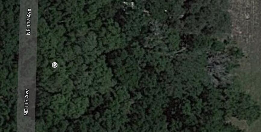 This is a satellite map view showing a road adjacent to a dense, wooded area — Xxxx NE 117 Avenue, FL 32134, FL