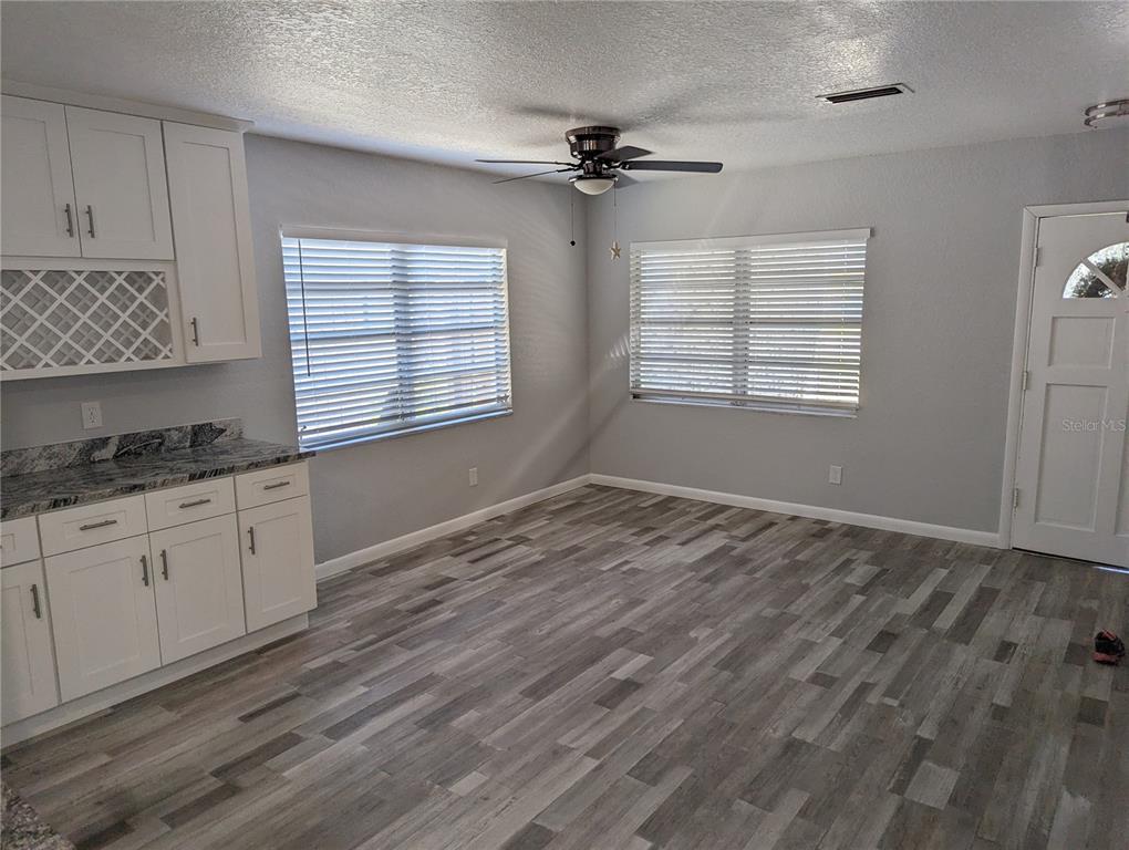 A kitchen area features white cabinets, granite countertops, gray wood-look flooring, and two windows — 206 N GUNLOCK AVENUE, TAMPA, FL