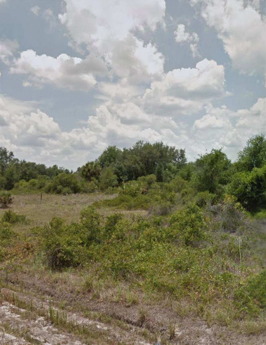A view of a grassy, overgrown lot with scattered shrubs and trees under a cloudy sky — 150 N Coral Street, Clewiston FL 33440, CLEWISTON, FL