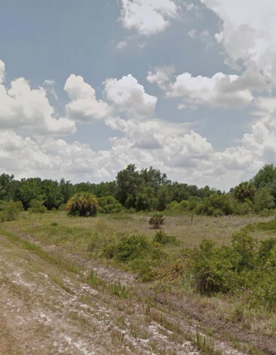 A dirt path leads through an open, grassy field toward a line of trees — 150 N Coral Street, Clewiston FL 33440, CLEWISTON, FL