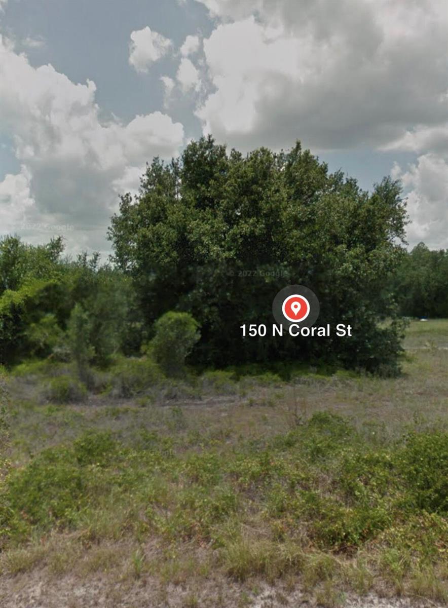 A large, mature tree stands in the center of an overgrown, grassy vacant lot — 150 N Coral Street, Clewiston FL 33440, CLEWISTON, FL