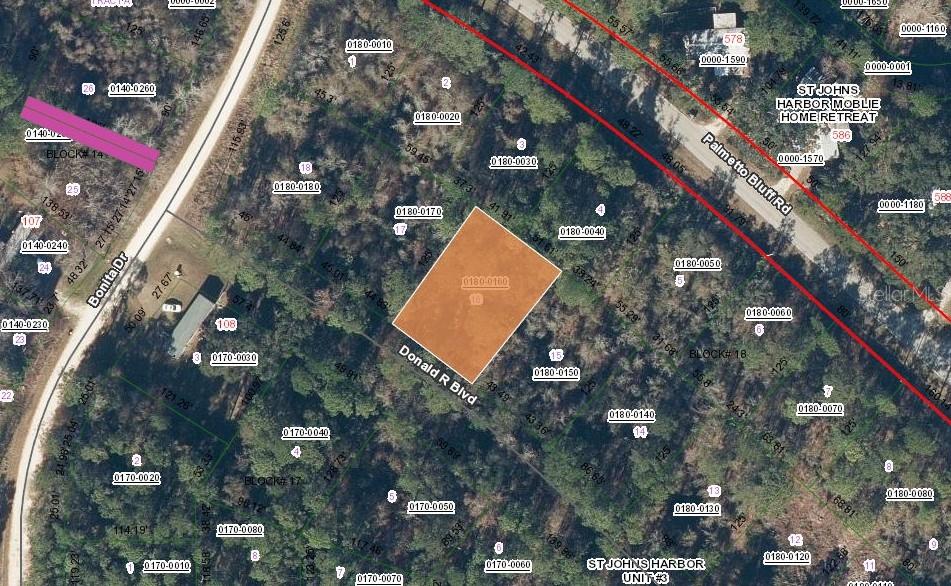 This is a map showing a highlighted rectangular land parcel located near several residential streets — 104 DONALD R BOULEVARD, PALATKA, FL