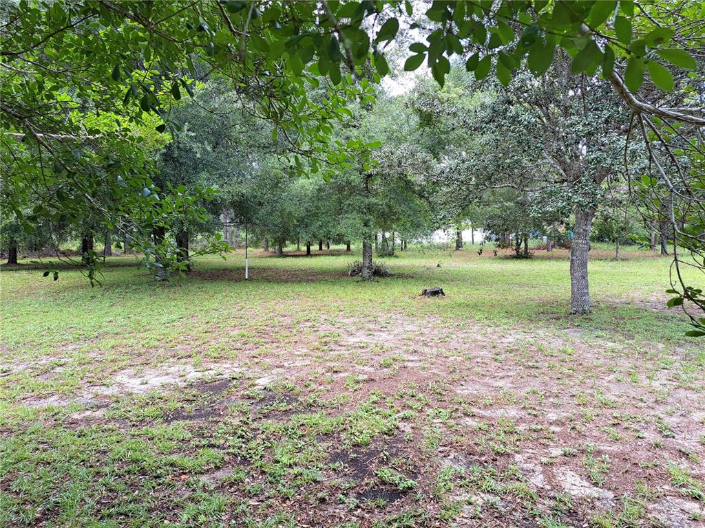 A grassy, partially shaded lot features several mature trees and a small tree stump — 2692 W HAMLET PLACE, DUNNELLON, FL