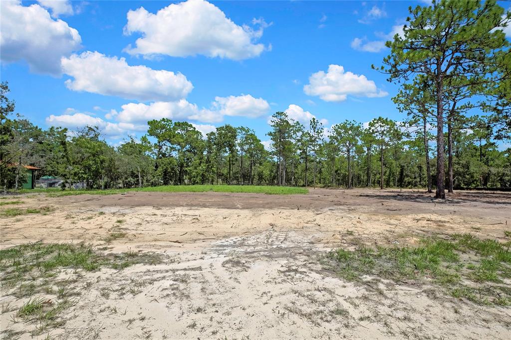 A cleared, sandy residential lot is surrounded by a line of mature pine trees — 16126 MEDRICK ROAD, BROOKSVILLE, FL